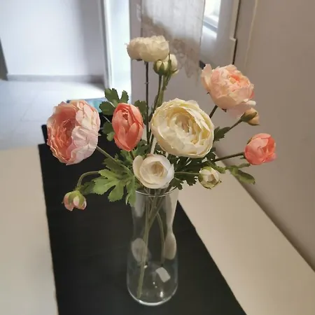Il Giardino In Centro Appartement