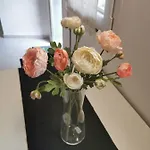 Il Giardino In Centro 公寓