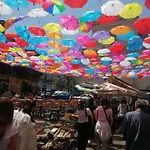 公寓 Il Giardino In Centro 卡塔尼亚